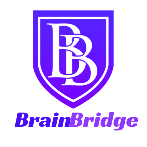 brain-bridge.net